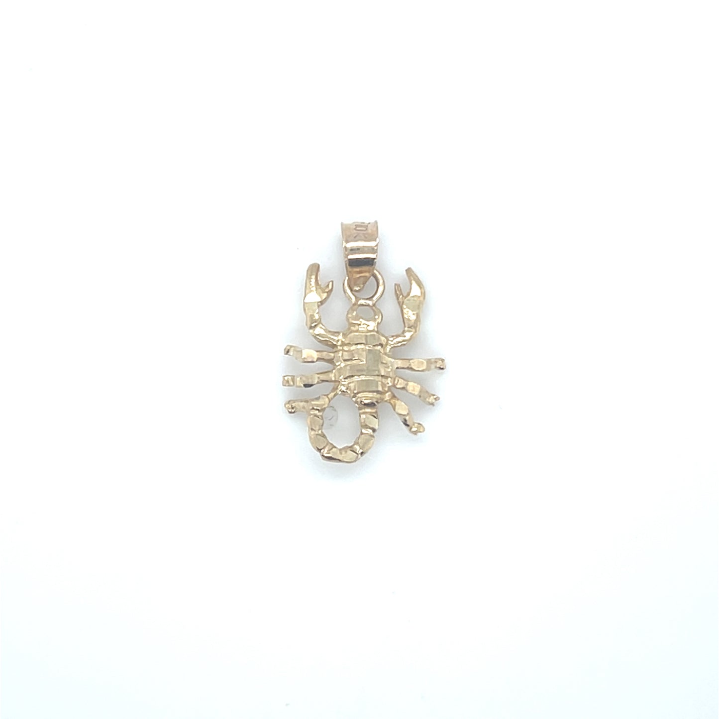 10K Gold Charms/Pendant