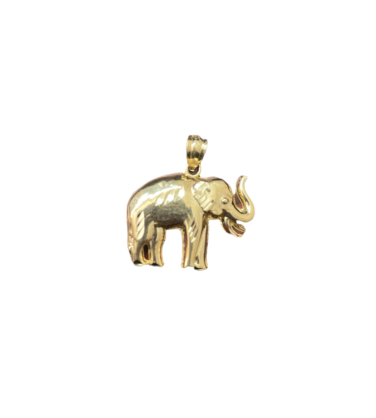 10K Gold Charms/Pendant