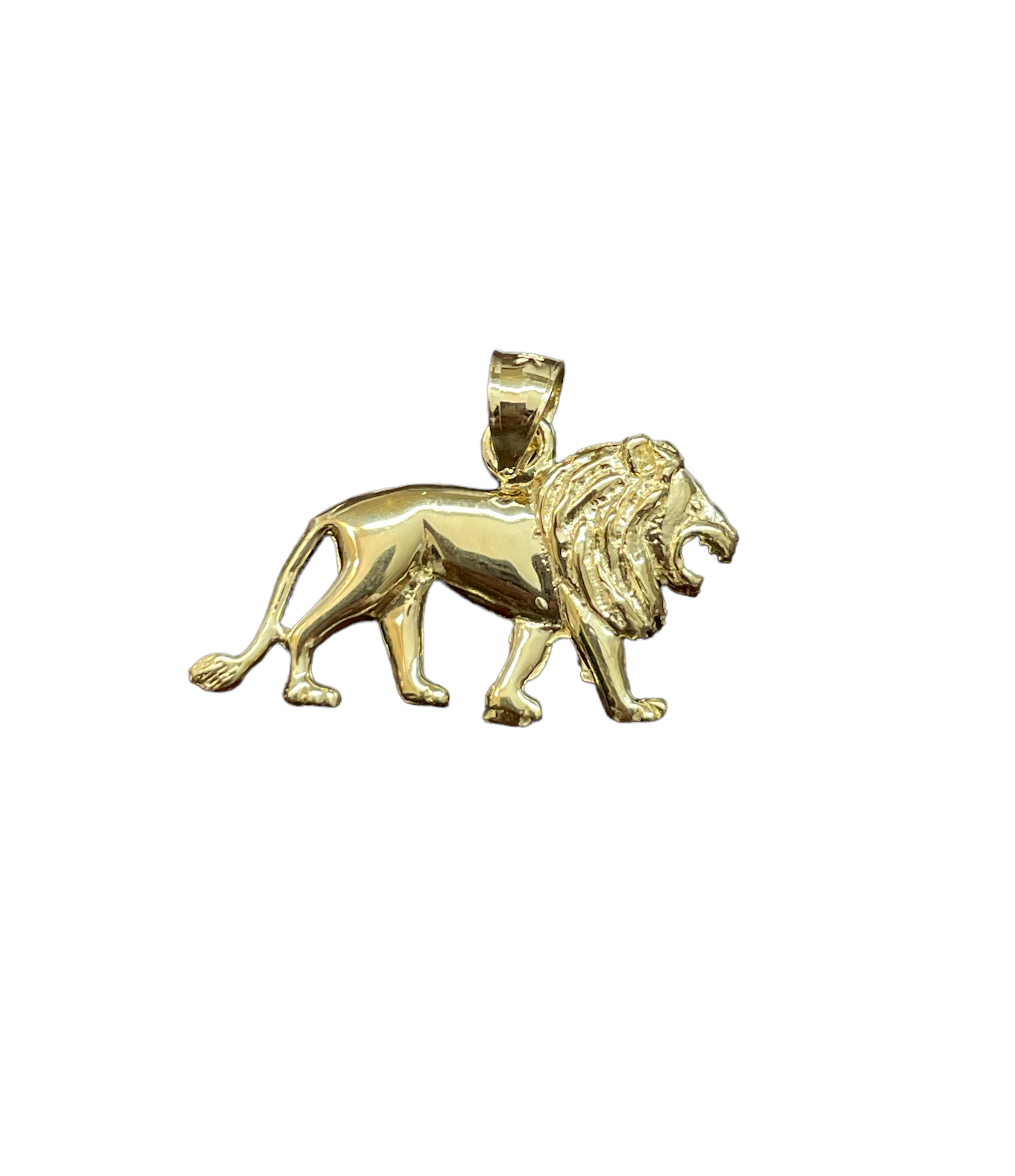 10K Gold Charms/Pendant