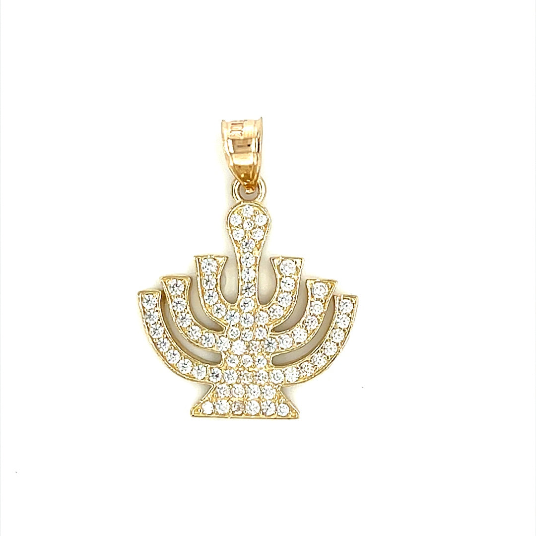 10K Gold Charms/Pendant