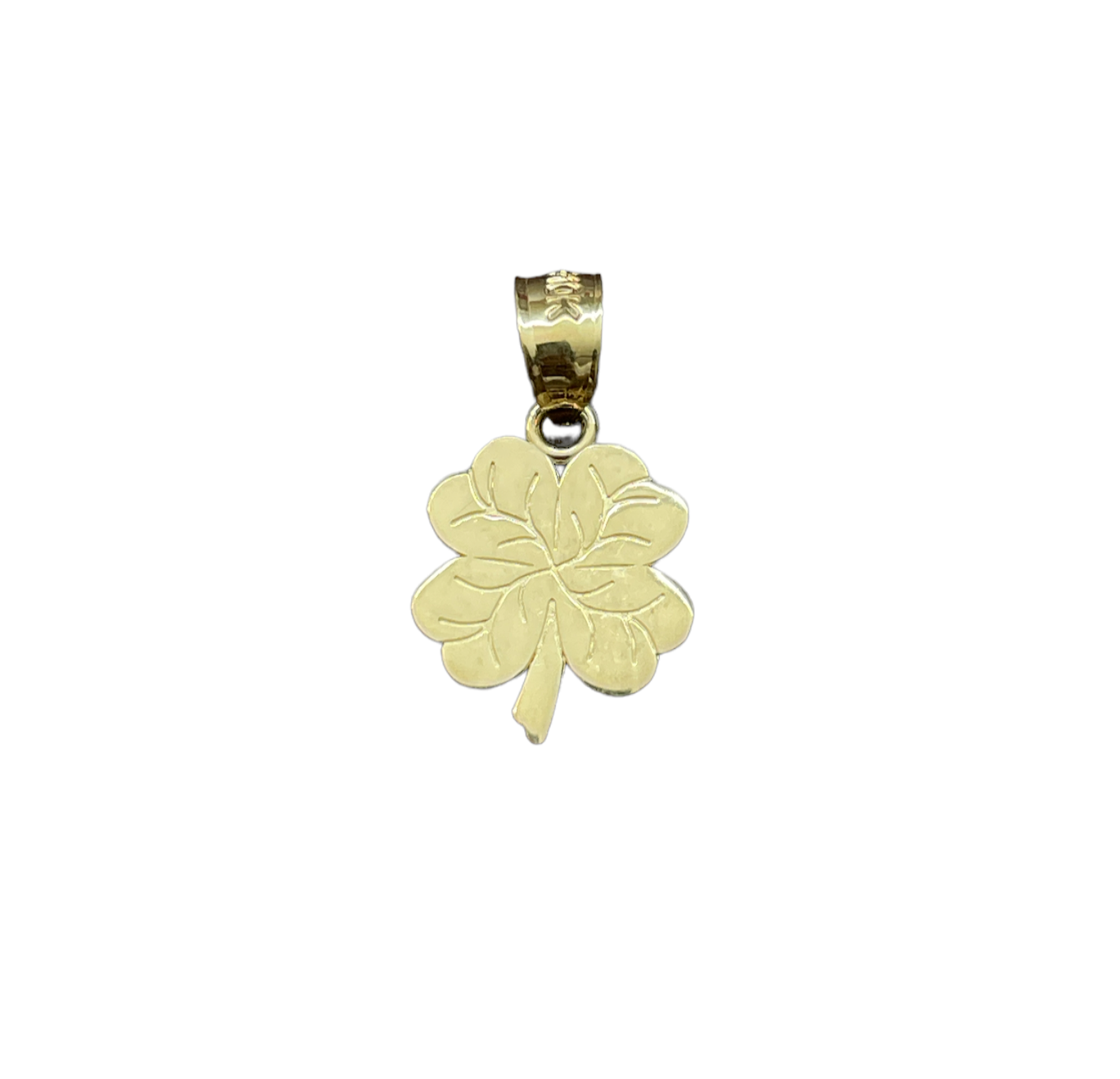 10K Gold Charms/Pendant