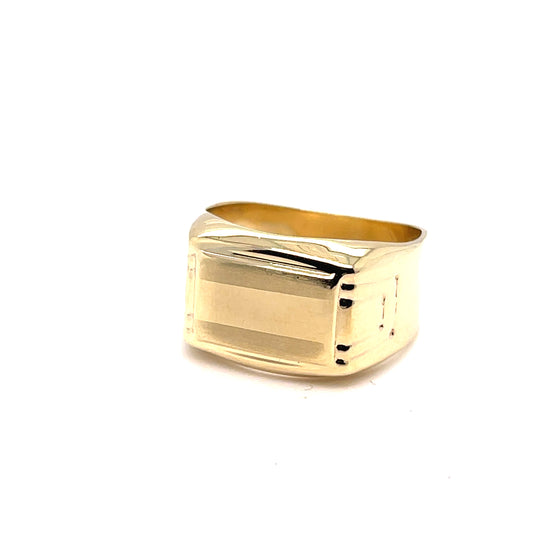 10K Gold Mens Ring