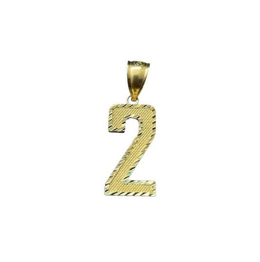 10K Yellow Gold Number "2" Cha