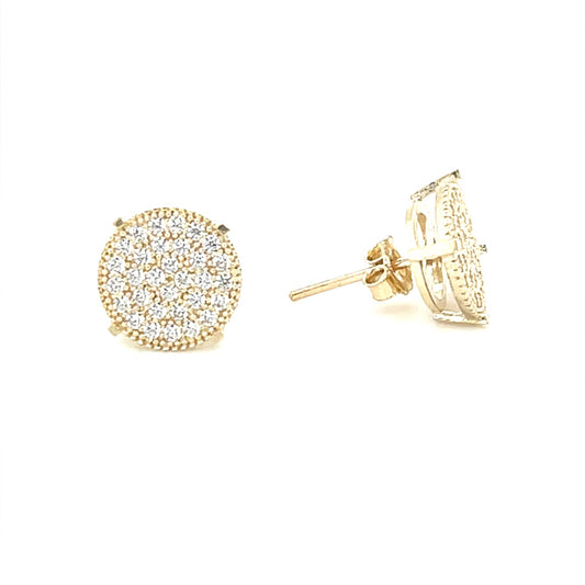 10K Gold Earrings/Stud