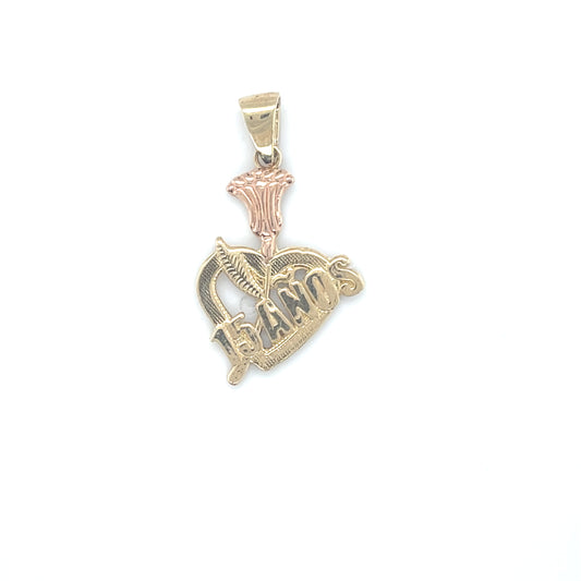 10K Gold Charms/Pendant
