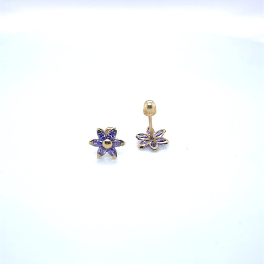 14K Gold Earrings/Stud