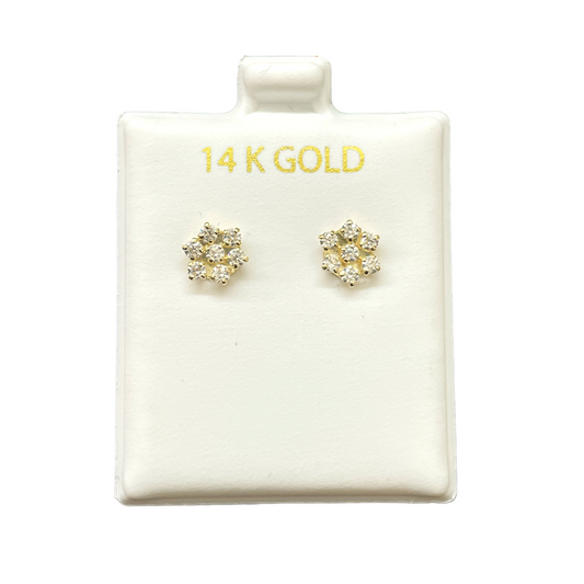 14K Gold Earrings/Stud