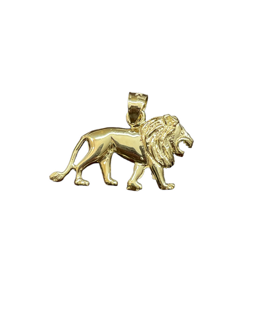 10K Gold Charms/Pendant