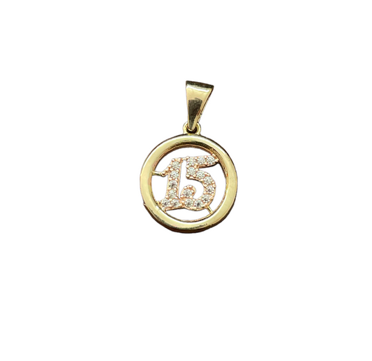 10K Gold Charms/Pendant