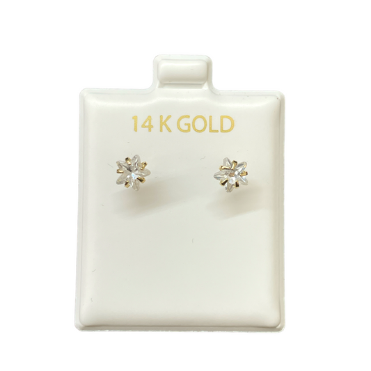 14K Gold Earrings/Stud