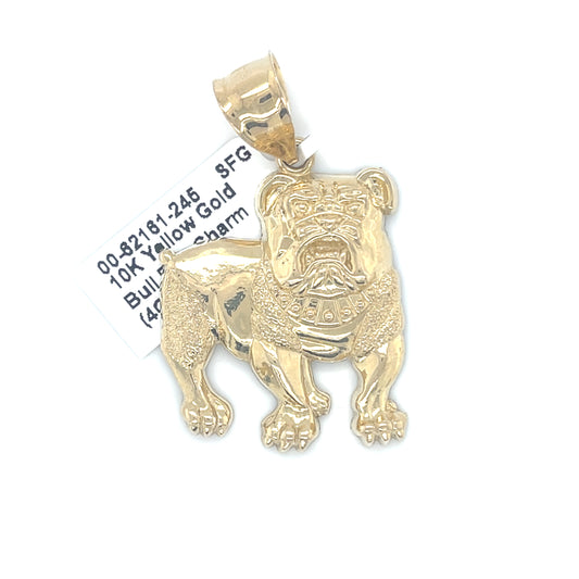 10K Gold Charms/Pendant