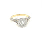 Diamond Rings - Women