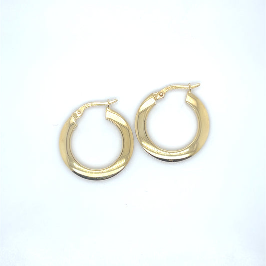 10K Gold Earrings/Stud