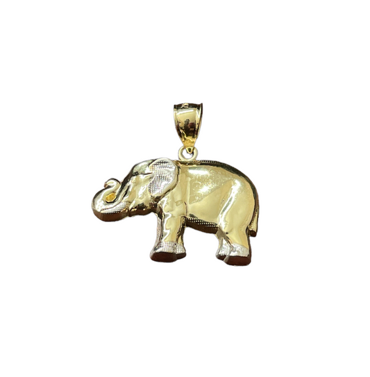 10K Gold Charms/Pendant