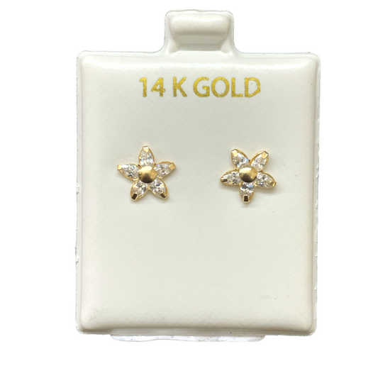 14K Gold Earrings/Stud