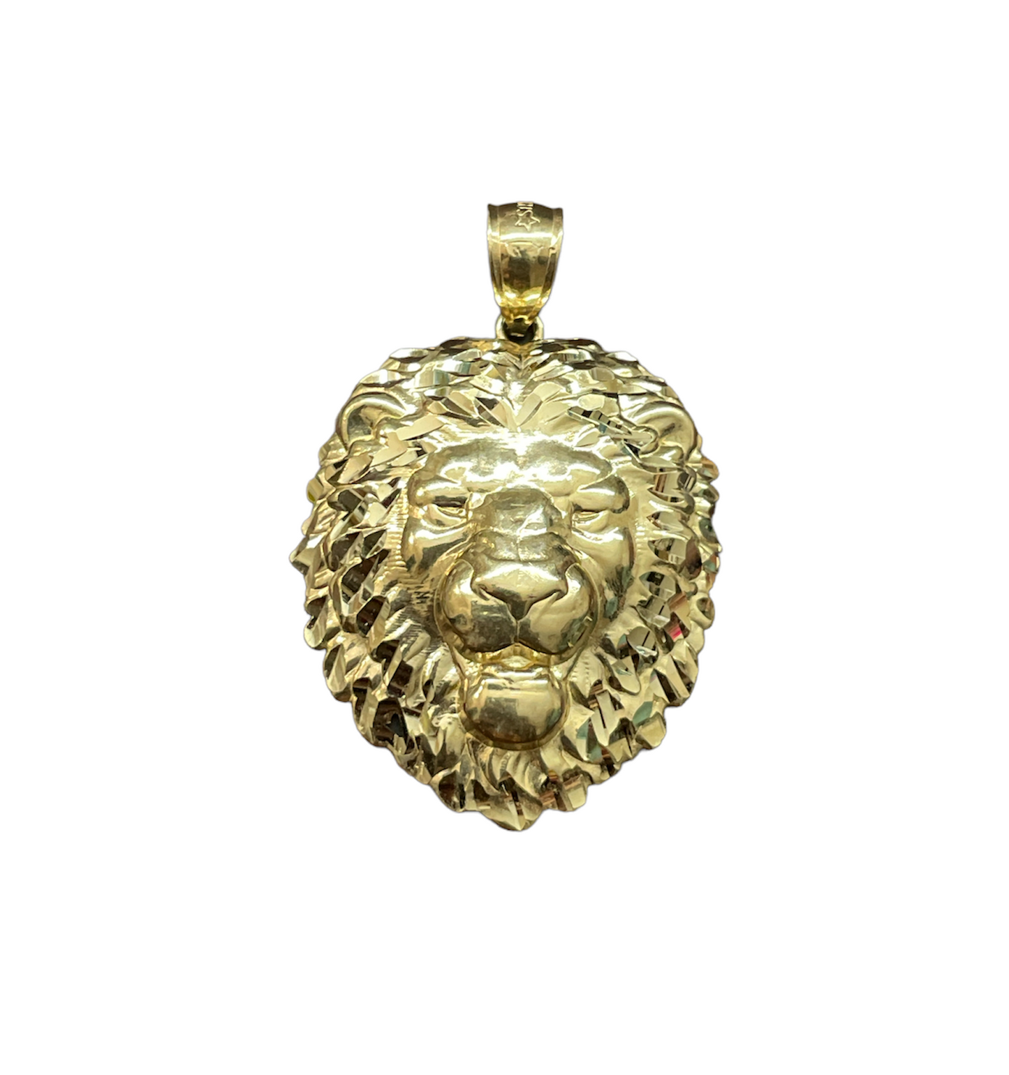 10K Y.Gold Lion Head Charm (4.5g)
