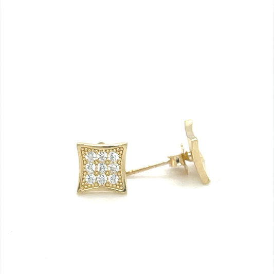 10K Gold Earrings/Stud