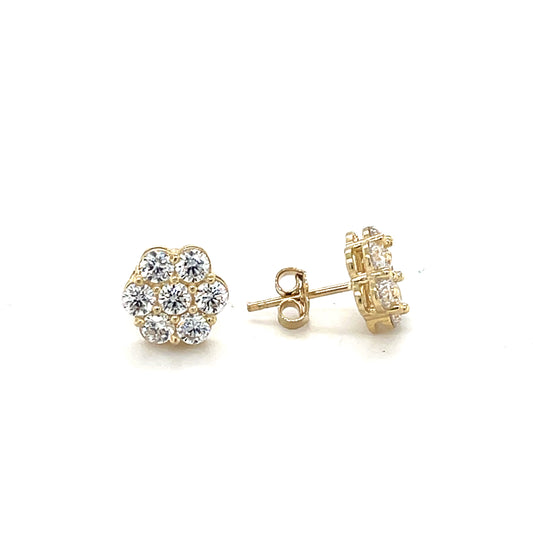 10K Gold Earrings/Stud