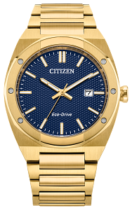 CITIZEN MEN'S ECO-DRIVE WR100