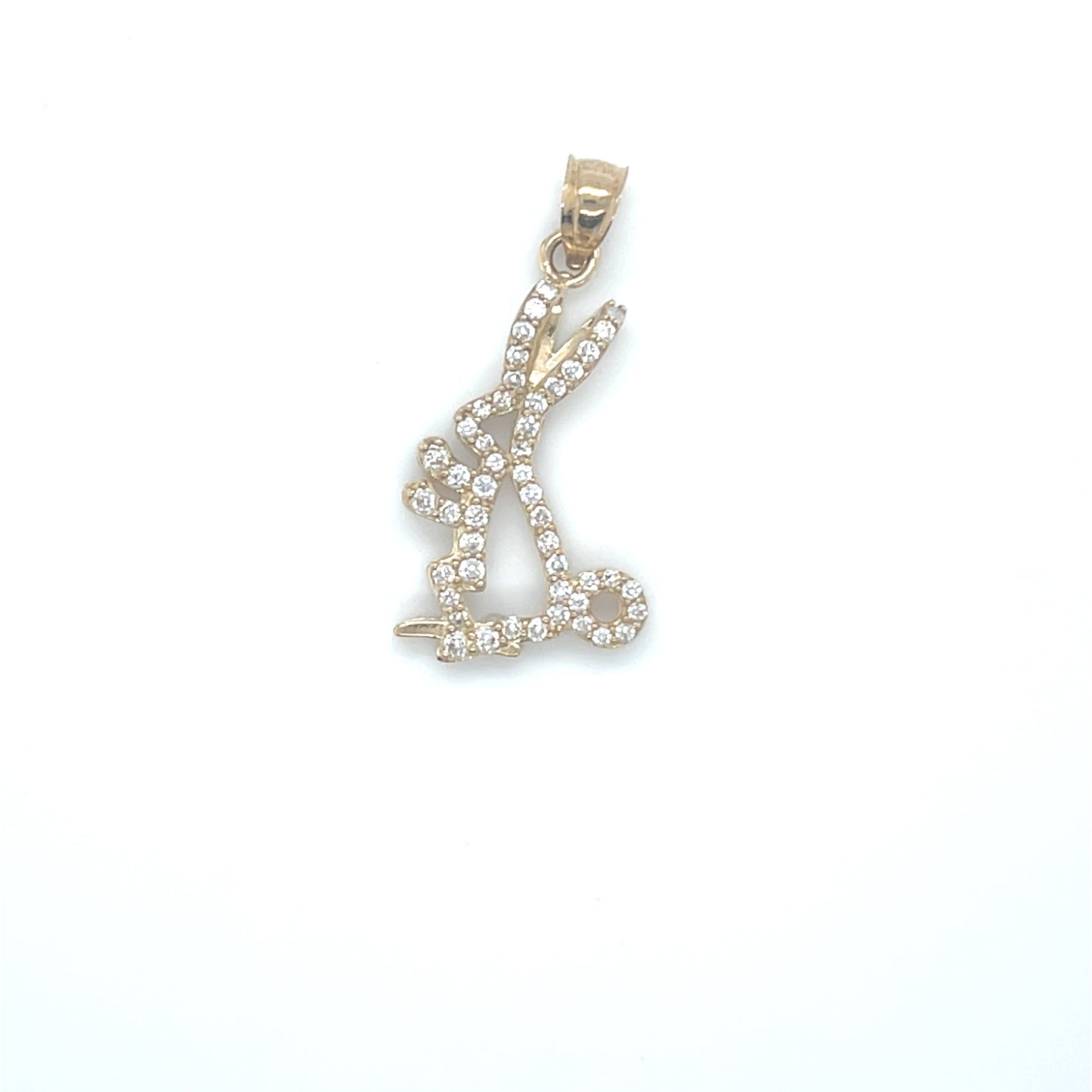 10K Gold Charms/Pendant