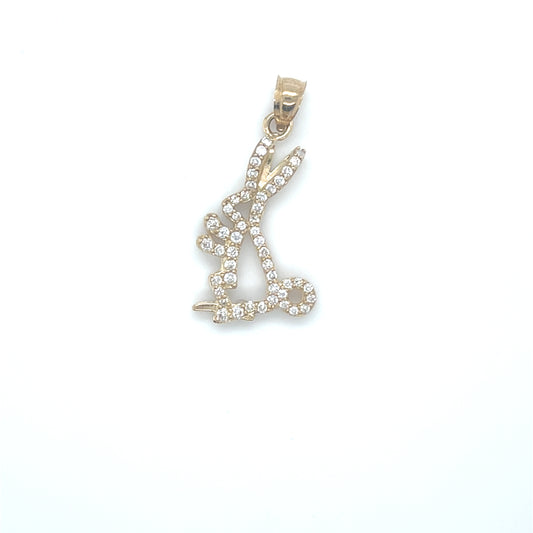 10K Gold Charms/Pendant