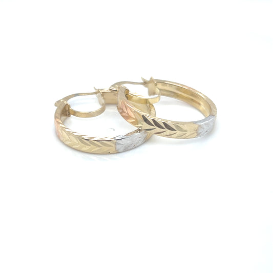 10K Gold Earrings/Stud