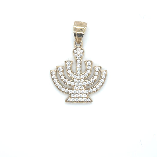 10K Gold Charms/Pendant