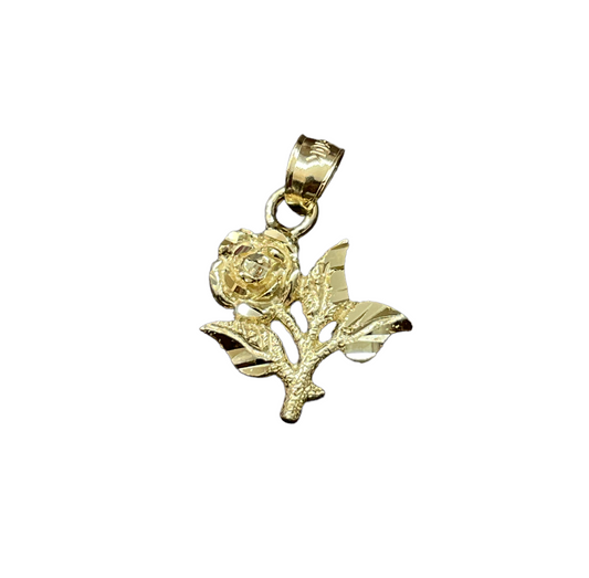 10K Gold Charms/Pendant