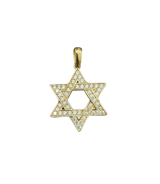 10K Gold Charms/Pendant