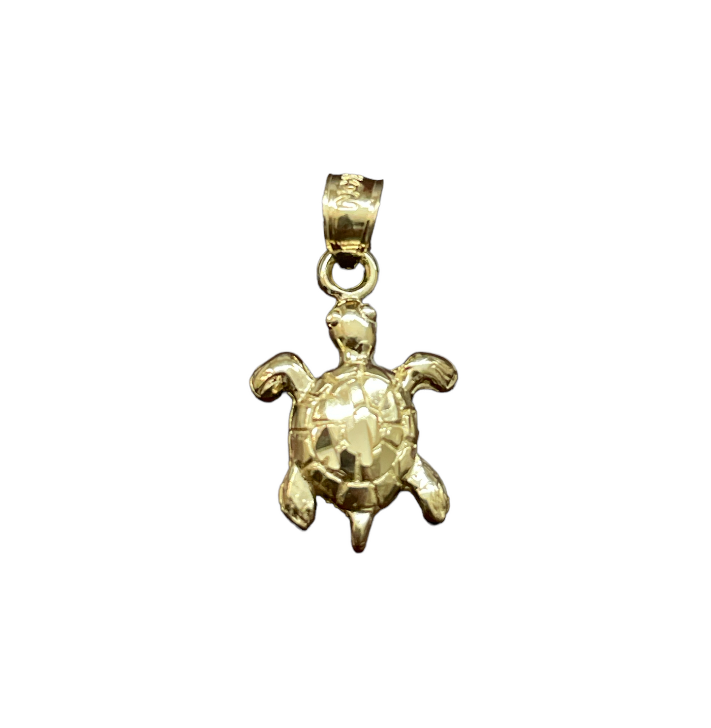 10K Gold Charms/Pendant