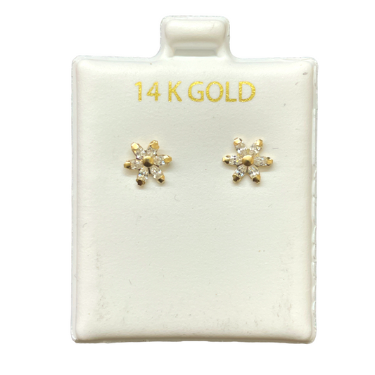 14K Gold Earrings/Stud