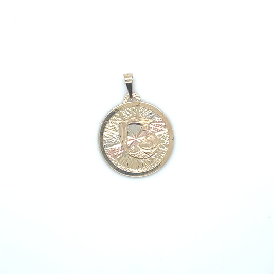10K Gold Charms/Pendant