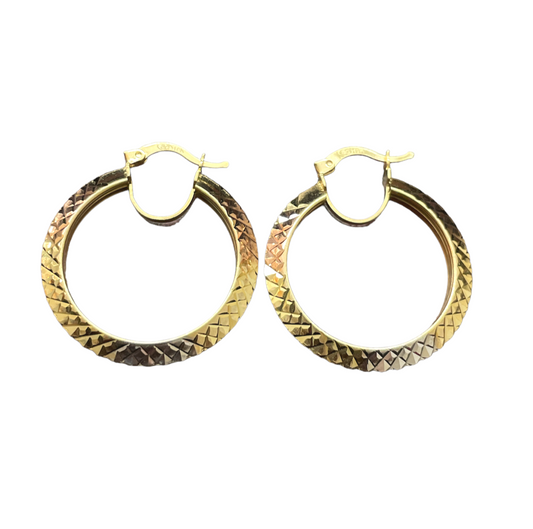 10K Gold Earrings/Stud