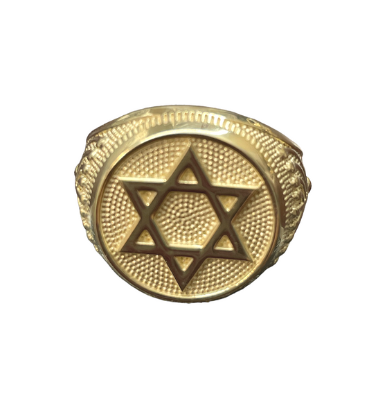 10K Gold Mens Ring