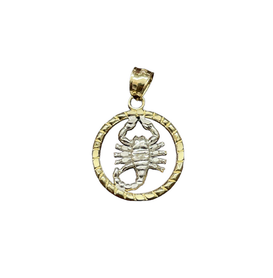 10K Gold Charms/Pendant